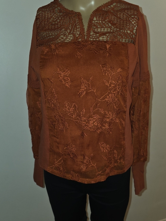 Anthropologie Tops - Anthropologie Embroidered Lace Yoke Blouse in Rust